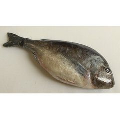 Муляж Дорадо риба(морський карась)