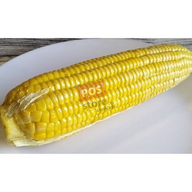 Муляж Кукурудза